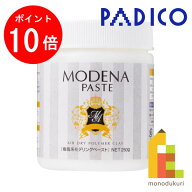 【お買い物マラソン限定！エントリーで全品ポイント10倍】パジコ　PADICO　モデナペースト　250g