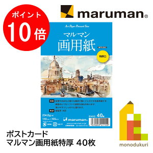 yubNtCf[IGg[őSi|Cg10{z}} |XgJ[h }}p 40(S141C)