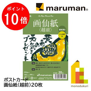 yubNtCf[IGg[őSi|Cg10{z}} |XgJ[h 历izOj20(S146C)