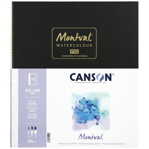 �y�����z �X�P�b�`�u�b�N �����o�� F10 C20A ������ 300g/m2 �L�����\�� [��z�ւ̂�]