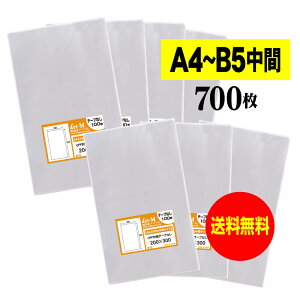 y Yze[vȂ A4B5̒ԃTCYy 20cmx30cm z OPP܁ijy700z30~NiWj200x300mm