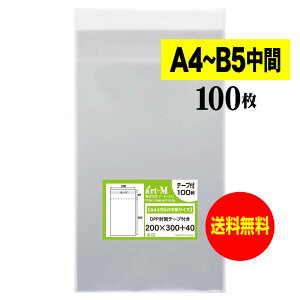 y Yze[vt A4B5̒ԃTCYy 20cmx30cm z OPP܁ijy100z30~NiWj200x300+40mm