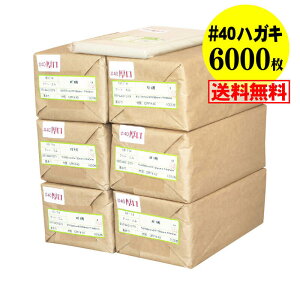 yY #40ze[vt nKL KGp iʐ^Eu}Chj OPP܁y6000z40~Nij 105x155+40mm