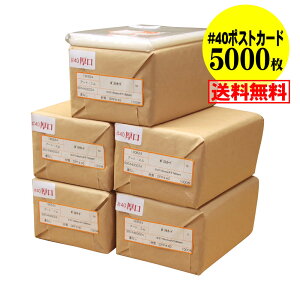 y Y #40z e[vȂy҂TCYz |XgJ[hp OPP܁ij y5000z 40~Nij 110x160mm