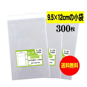 y Yze[vt 9.5cmx12cmy  / i zOPP܁ijy300z30~NiWj95x120+40mm