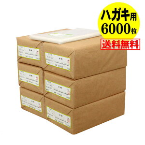 yYze[vt nKL KGp iʐ^Eu}Chj OPP܁y6000z30~NiWj 105x155+40mm