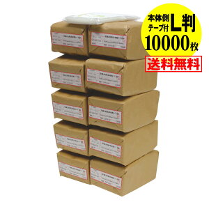 y  Y z{̑e[vt y҂TCYzʐ^Lp OPP ʐ^܁y10000z30~NiWj91x130+40mm