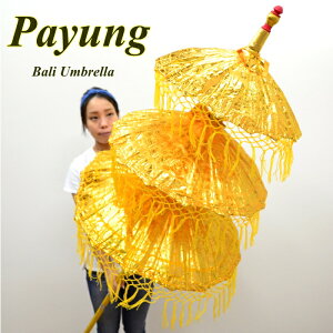 AWA G oG p/oP 3i CG[iS4Fj H220cm OTH-0003-YE yAWAG u Ɩp Xܗp fBXvC ՗ o̎P 傫  IuWF  p AWA