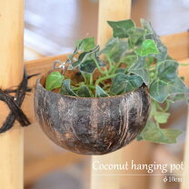 楽天市場】ココナッツ ポットの通販 