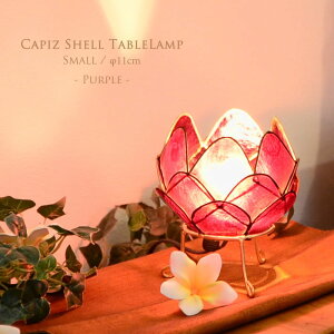 JsXL [^X e[uv STCY yp[vz킢 IV  v[g xbh TCh Q  Ɩ xbhTCh ԐڏƖ iCgCg q xbhTCh