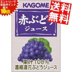 エントリーでポイント10倍★【送料無料】 カゴメ 赤ぶどうジュース 100ml紙パック 72本（36本×2ケース） 果汁100％ジュース ※北海道800円・東北400円の別途送料加算