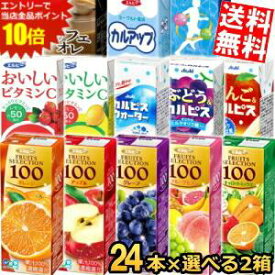 エントリーでポイント10倍★期間限定特価 【送料無料】 エルビー紙パック飲料 選べる2ケース 計48本セット 果汁100%ジュース C1000 スポーツドリンク カフェオレ カルピス 200ml 250ml 野菜ジュース ※北海道800円・東北400円の別途送料加算