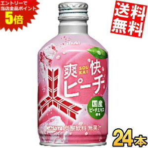 }\Ԓ̓Gg[œXSi|Cg5{!!yz ATq Oc us[` 300ml{g 24{ OcTC_[ Y_   kC800~Ek400~̕ʓrZ