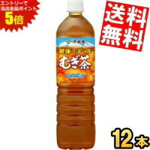 �労�ӍՊ��Ԓ��̓G���g���[�őS�i�|�C���g5�{!!�y�X�����{�g���z�y���������z �ɓ��� ���N�~�l�����ނ��� 1L�y�b�g�{�g�� 12�{�� �~�l�������� 1000ml ���� ���k�C��800�~�E���k400�~�̕ʓr��