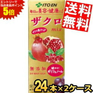 }\Ԓ̓Gg[œXSi|Cg5{!!yz ɓ UNmix 200mlpbN 48{(24{×2P[X) ~bNX |tFm[ E_EFY t[c 