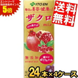 X[p[Z[Ԃ̓Gg[Ń|Cg5{!!yz ɓ UNmix 200mlpbN 96{(24{×4P[X) ~bNX |tFm[ E_EFY t[c ʕ 