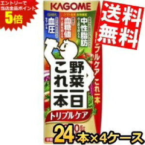 X[p[Z[Ԃ̓Gg[Ń|Cg5{!!yzygvPAzJS ؈{ gvPA 200mlpbN 96{(24{×4P[X) ؃W[X 11{ @\