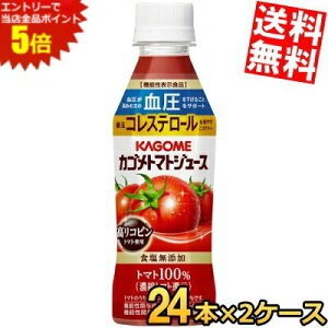 X[p[Z[Ԃ̓Gg[Ń|Cg5{!!yzJS g}gW[X HY Rsg}ggp 257gybg{g 48{(24{×2P[X) @\\Hi kC800~E