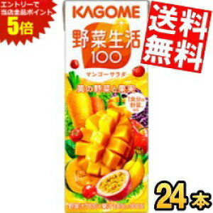 X[p[Z[Ԃ̓Gg[Ń|Cg5{!!yzJS ؐ100 }S[T_ 200mlpbN 24{ ؃W[X