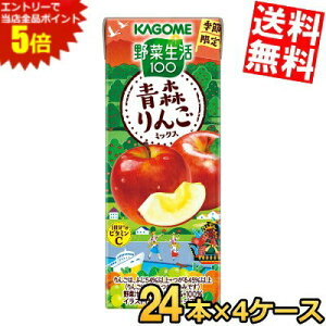 X[p[Z[Ԃ̓Gg[Ń|Cg5{!!yz JS ؐ100 X񂲃~bNX 195mlpbN 96{(24{×4P[X) Gߌ ؃W[X ₳W[X kC800~