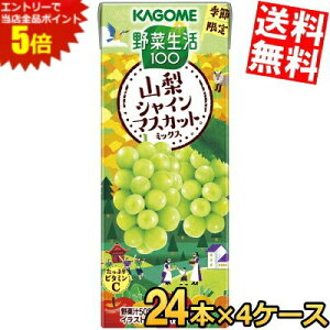 X[p[Z[Ԃ̓Gg[Ń|Cg5{!!yz JS ؐ100 RVC}XJbg~bNX 195mlpbN 96{(24{×4P[X) Gߌ ؃W[X ₳W[X 