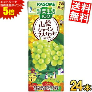 X[p[Z[Ԃ̓Gg[Ń|Cg5{!!yz JS ؐ100 RVC}XJbg~bNX 195mlpbN 24{ Gߌ ؃W[X ₳W[X kC800~