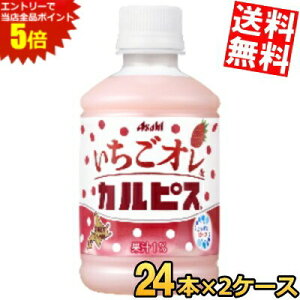 X[p[Z[Ԃ̓Gg[Ń|Cg5{!!yz ATq I&JsX 280mlybg{g 48{(24{×2P[X)  Xgx[ t[cJsX kC800~Ek400~