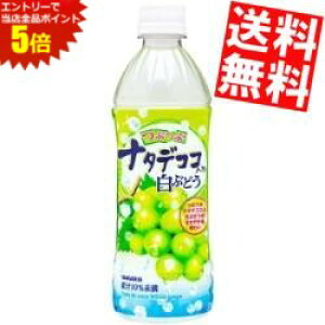 X[p[Z[Ԃ̓Gg[Ń|Cg5{!!yzTKAԂԃi^fRR蔒Ԃǂ500mlybg{g 24{kC800~Ek400~̕ʓrZ