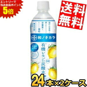 X[p[Z[Ԃ̓Gg[Ń|Cg5{!!Ԍ yz _Ch[ am`J L@gp Y_ 500mlybg{g 48{(24{×2P[X) Xp[NOEH[^[ h