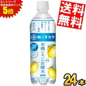 X[p[Z[Ԃ̓Gg[Ń|Cg5{!!Ԍyz _Ch[ am`J L@gp Y_ 500mlybg{g 24{ Xp[NOEH[^[ h{@\Hi 