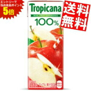 }\Ԓ̓Gg[œXSi|Cg5{!!yz L gsJ[i100 Abv 250mlpbN 96{(24{×4P[X) ʏ`100W[X kC800~Ek400~̕ʓr