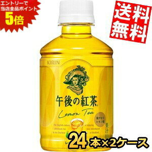 X[p[Z[Ԃ̓Gg[Ń|Cg5{!!yzL HOT&COLDߌ̍geB[280mlybg{g 48{(24{×2P[X)kC800~Ek400~̕ʓrZ