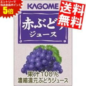 X[p[Z[Ԃ̓Gg[Ń|Cg5{!!yzJS ԂԂǂW[X 100mlpbN 36(18×2){ (ʏ`100)