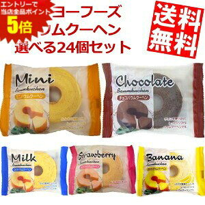 X[p[Z[Ԃ̓Gg[Ń|Cg5{!!yz ^C[t[Y IׂoEN[w v24Zbg(12×2) o[N[w kC800~Ek400~̕ʓrZ