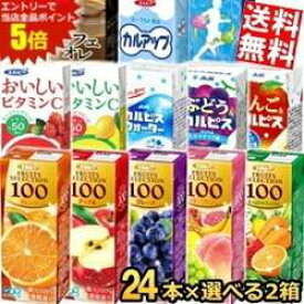 マラソン期間中はエントリーで全品ポイント5倍!期間限定特価 【送料無料】 エルビー紙パック飲料 選べる2ケース 計48本セット 果汁100%ジュース C1000 スポーツドリンク カフェオレ 200ml 250ml 野菜ジュース ※北海道800円・東北400円の別途送料加算