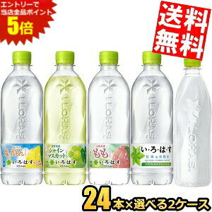 X[p[Z[Ԃ̓Gg[Ń|Cg5{!!Ԍyz RJR[ ͂Iׂt[o[hN 48{Zbg(24{×2P[X) VR ~lEH[^[  VC