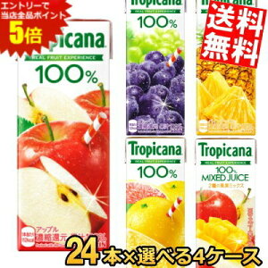 yz L gsJ[i100%W[X Y 48̖ t@CAS[hbV 200~250mlpbN Iׂ96{(24{×4P[X) tropicana W[X ؃W[X R[q[ FIRE kC80