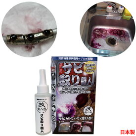 【日本製】強力サビ取り剤 サビ取り職人 100ml 洗剤 さび取り さび落とし 技職人魂 さびとり サビ取り 錆 取り 職人シリーズ ヘアピン跡 サビ 落とす サビ除去 リニューアル かけるタイプ