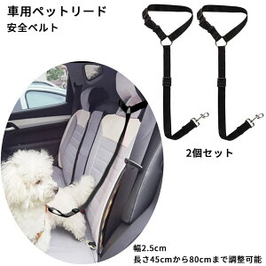 y|Cg5{ 11/1 10:00`11/10 22:59zyS Szybgp hCu [h 2 ߉\@SԎΉ V[gxg Sxg тh~ ȒP