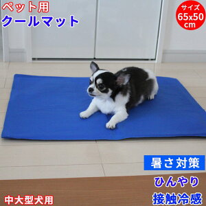 y|Cg10{ yVC[OXӍ11/14`11/16zybgN[}bg 65x50cm ݖ8mm ybgp}bg Ђ}bg }bg ybg ybg}bg ⊴}bg p}bg ⊴  