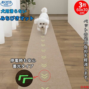 y{z z ~ ݂т}bg 3 60x30cm ݖ3mm ybgp}bg p ~ ~߃}bg  }bg ybg}bg h~ EPh~ ی OK  ی}bg g[