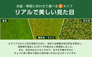 楽天市場 人工芝 芝生 色までリアルなロール人工芝 芝丈mm 幅1m 長さ10m 安全検査実施済 水はけ穴有り Fme 10 ガーデン ガーデン 楽天市場店