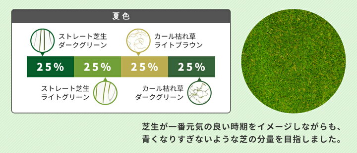 楽天市場 39対応 人工芝 芝生 色までリアルなロール人工芝 芝丈30mm 幅1m 長さ2m 安全検査実施済 水はけ穴有り Fme 3002 ガーデン ガーデン 楽天市場店
