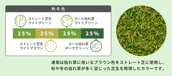 楽天市場 39対応 人工芝 芝生 色までリアルなロール人工芝 芝丈30mm 幅1m 長さ2m 安全検査実施済 水はけ穴有り Fme 3002 ガーデン ガーデン 楽天市場店