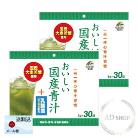 ユニマットリケン おいしい国産青汁+乳酸菌 90g（3g×30袋）2袋セット