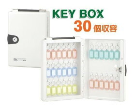キーボックス 鍵30本収納 壁掛け 持ち運び 防犯 施錠可能 スチール製 鍵保管庫 キーホルダー