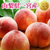 ［ 美味しい山梨の桃］【 山梨県産 一宮の桃 約2kg (5個～7個) 】 送料無料 もも モモ 甘い桃 高級フルー…