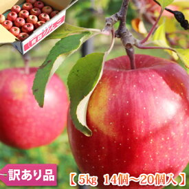 楽天市場 訳あり りんごの通販