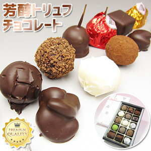 蕨 Mtg w ̗ xy F gt`R[g 15 z `R[g Mtg َq `R[g 蕨 v[g Ԃǂ̗ XC[c Mtg `R v[g R 