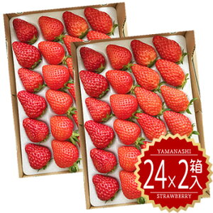 y炾ɗD䕂łBc_0 z[RY lߍ킹48] (24×2Zbg)  qlɂS SC`S j  Mtg t[c ͕P  gق